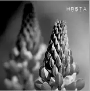 11_hrsta