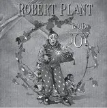 11_robert_plant