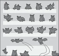 12AniJsemSiNeuvedomoval_Vrhsti3