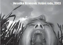 12KralovstviAmakety copy