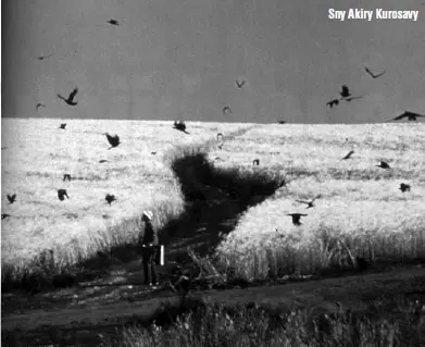 12_filmové_japonsko_8