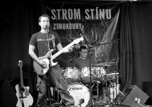 12_strom_stinu
