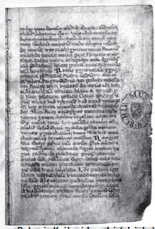 2brezina6