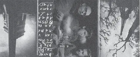 5_bez_umeni3
