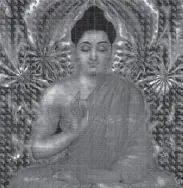 7_redvoluce_vedomi_4