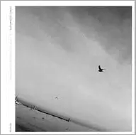 9_thomas_bednarczyk